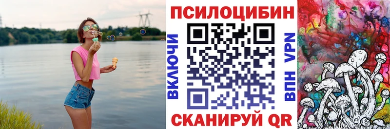 Псилоцибиновые грибы Psilocybine cubensis  Купить  Карпинск 